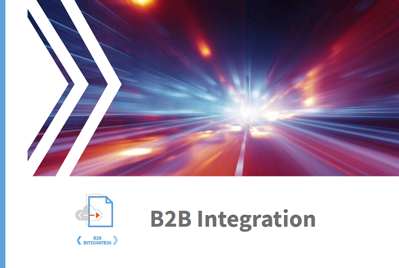 Informatie Over B2B Integration