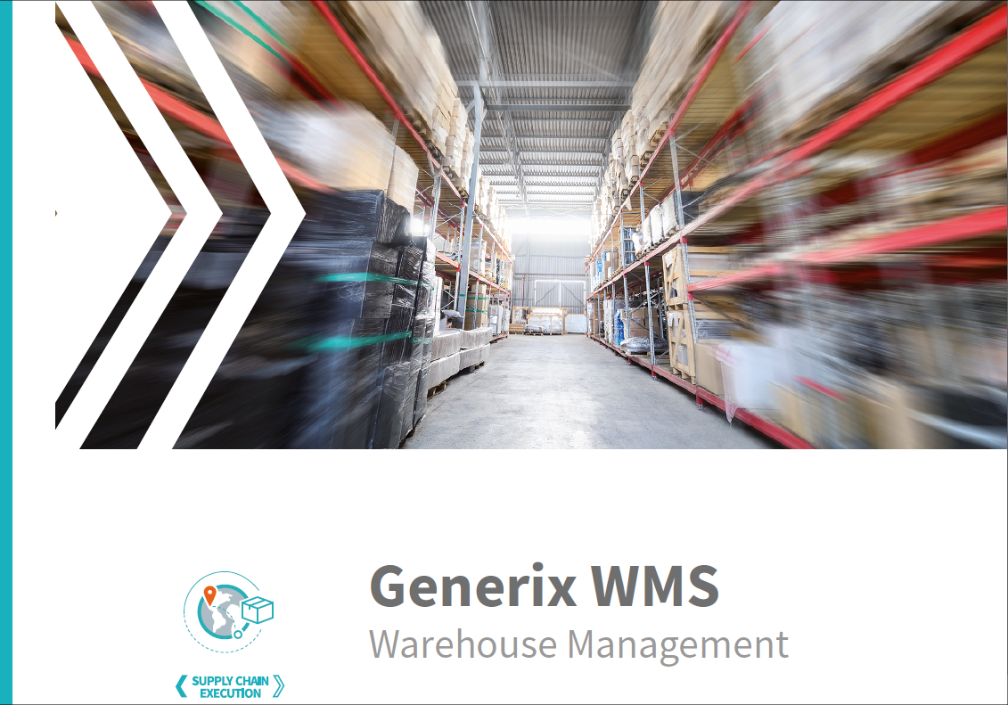 PS-SCE-WMS-entrepot-BR-550x385.png